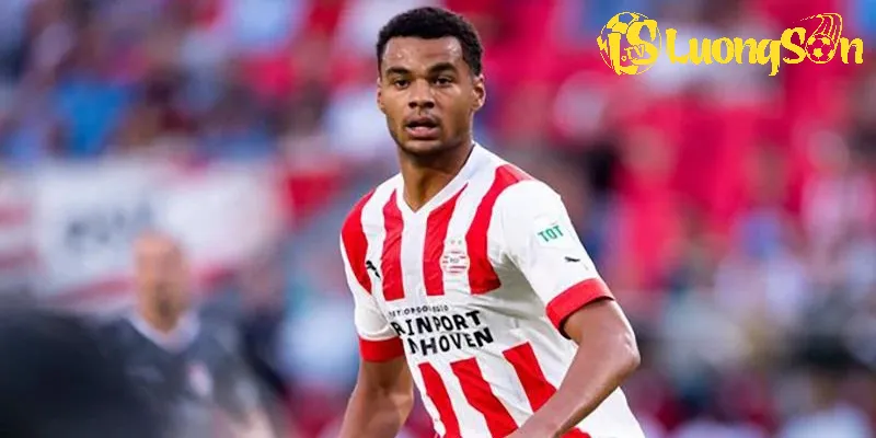 Tiền đạo người Hà Lan trưởng thành từ lò đào tạo của PSV Eindhoven